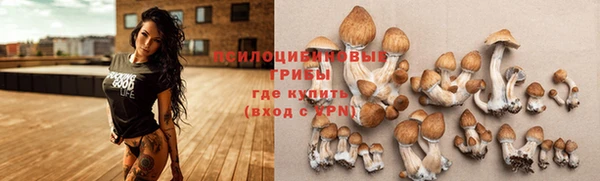 первитин Аркадак