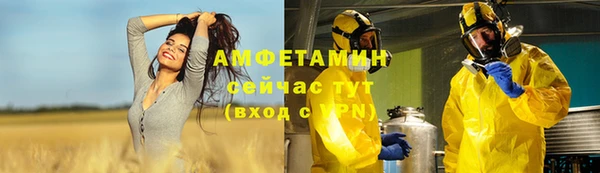 прущие грибы Рославль