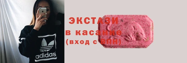 стафф Россошь