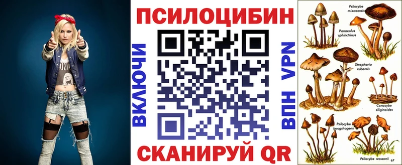 продажа наркотиков  Сорочинск  Галлюциногенные грибы Magic Shrooms 